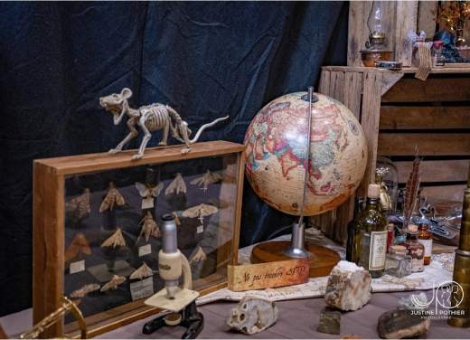 Cabinet des curiosités